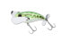 Jackall POMPADOUR Topwater (JPOMP79-GF) Fishing