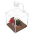 MARINA Betta Cubus 3.4L aquarium kit