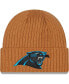 Men's Brown Carolina Panthers Core Classic Cuffed Knit Hat