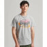 SUPERDRY Vintage Vl Narrative T-shirt