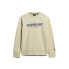 SUPERDRY Sportswear Logo Loose sweatshirt