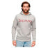 SUPERDRY Core Logo Classic hoodie