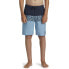 QUIKSILVER Everyday Panel Swimming Shorts