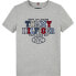 TOMMY HILFIGER KB0KB08664 short sleeve T-shirt