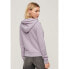 SUPERDRY Metallic Vl Graphic Unbrushed hoodie