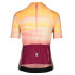 BIORACER Icon Rouleur short sleeve jersey