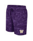 Men's Purple Washington Huskies Ozark Swim Shorts