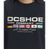 DC Shoes Worldwide Fav short sleeve T-shirt