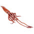 SAFARI LTD Giant Squid Figure