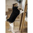 KENTUCKY Towel Dog Coat