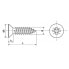 EUROMARINE A4 DIN 7982 4.8x38 mm Cross Head Screw