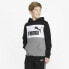 PUMA Essentials+ Colorblock Fl sweatshirt