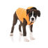 FUZZYARD Aeon Dog Sweatshirt Hoodie