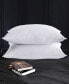 2 Piece Bed Pillows, King