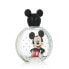 Детские духи Disney Mickey Mouse EDT 100 ml