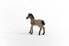 Schleich Horse Club Criollo Definitivo Foal Toy Figure 5 to 12 Years Brown