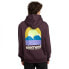 ELEMENT Halo hoodie