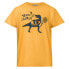 HEAD RACKET Tennis short sleeve T-shirt