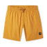 O´NEILL Future Surf Society 14´´ Swimming Shorts