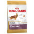 ROYAL CANIN Cocker Corn Poultry Rice Adult 12kg Dog Food