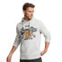 SUPERDRY Vintage Logo Narrative hoodie