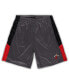 Men's Gray Miami Heat Big and Tall Shorts