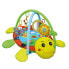 GIROS Deluxe Ladybird Playgym