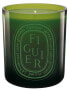 Green Candle Figuier