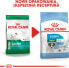 Royal Canin SHN Mini Puppy BF 8 kg