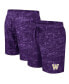 Men's Purple Washington Huskies Ozark Swim Shorts