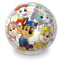 PAW PATROL Beach Ball