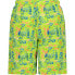 CMP 33R9134 Medium Swimming Shorts