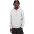 ELEMENT Cornell Classic hoodie