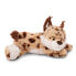 NICI Lynx Lyka 30 cm Lying Teddy