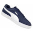 Puma Caven