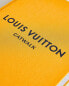 Louis vuitton catwalk book