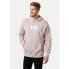 Helly Hansen Core Graphic Sweat