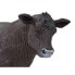 SAFARI LTD Angus Cow Figure