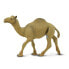 SAFARI LTD Dromedary Camel Figure