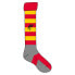 FORCE XV 4 Rayee Long Socks