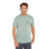 ICEBREAKER Merino 150 Tech Lite Back Pack short sleeve T-shirt