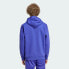 adidas men Adicolor Classics 3-Stripes Hoodie