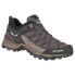 SALEWA MTN Trainer Lite Goretex hiking shoes