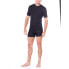 ICEBREAKER 175 Everyday Crew Merino Short sleeve base layer