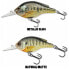 LIVE TARGET Bluegill BG57S Floating crankbait 7g 57 mm