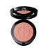 Powder blush Luminous Silk (Glow Blush) 3.6 g