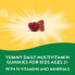 Alive! Kids, Gummy Multivitamin, Cherry, Orange & Grape , 60 Gummies