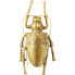 Wandschmuck Longicorn Beetle