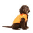 FUZZYARD Aeon Dog Sweatshirt Hoodie