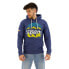 SUPERDRY Great Outdoors Graphic hoodie